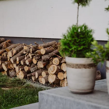 Dom Swierszczem Glosny *